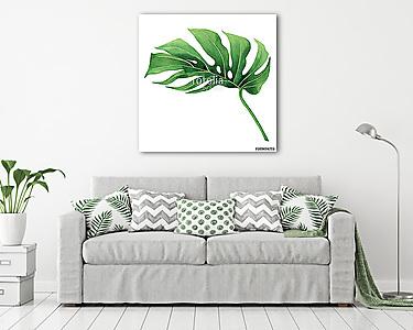 Watercolor painting tropical,palm leaf,green leaves isolated on  (vászonkép) - vászonkép, falikép otthonra és irodába