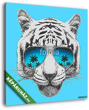 Hand drawn portrait of Tiger with mirror sunglasses. Vector isol - vászonkép 3D látványterv