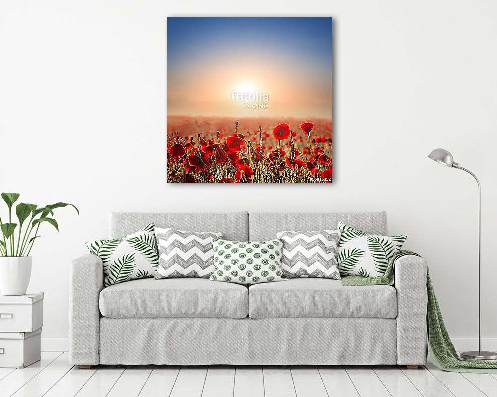 vörös mákmező kora reggel (fotótapéta) - vászonkép, falikép otthonra és irodába