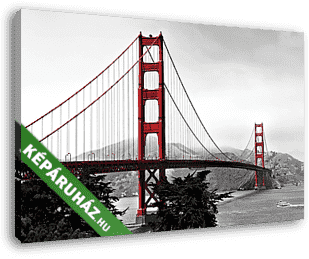 Golden Gate Bridge, piros pop fekete-fehér háttéren - vászonkép 3D látványterv