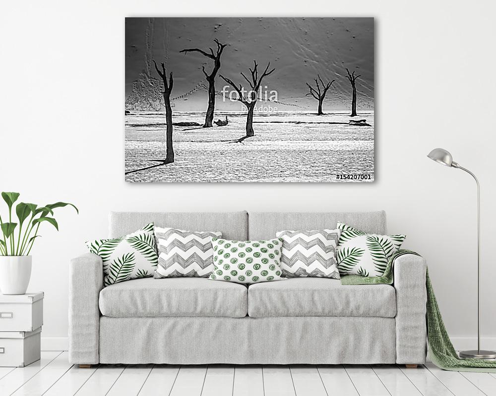 Sossusvlei sós tó sivatagi táj halott fákkal és dűnékkel, N (vászonkép) - vászonkép, falikép otthonra és irodába