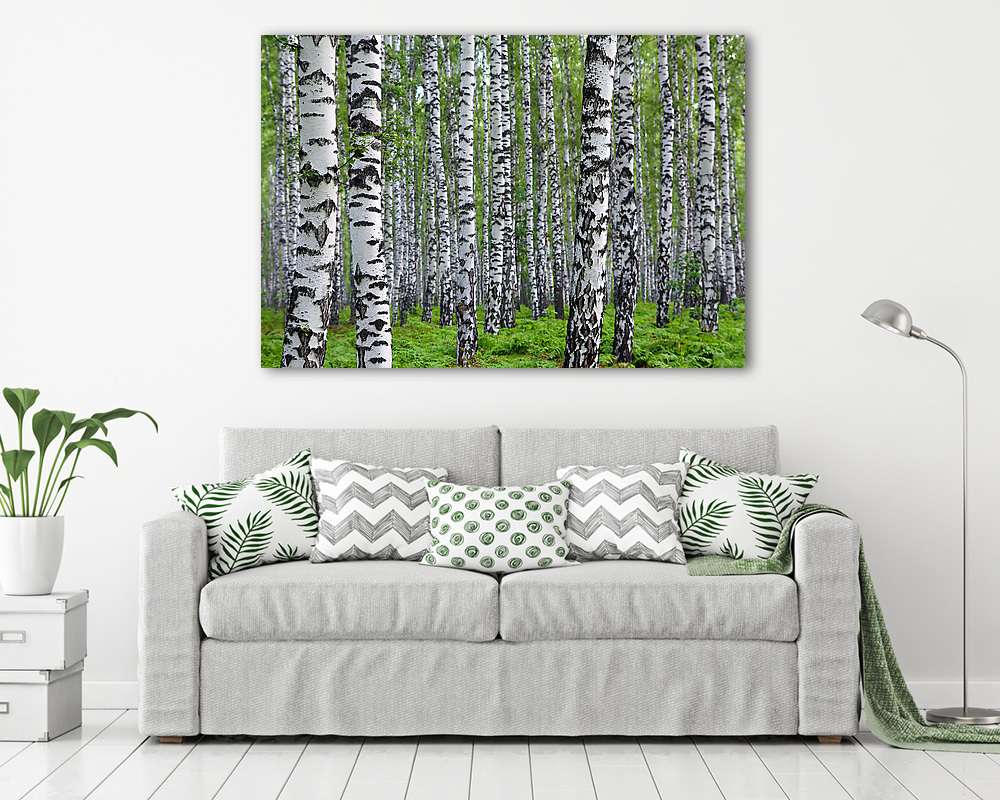 Nyírfák - vászonkép, falikép vásárlás Nyírfák (vászonkép) - vászonkép, falikép otthonra és irodába