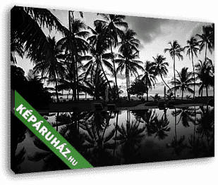 Silhouettes of palm trees on the shore. Black and white - vászonkép 3D látványterv