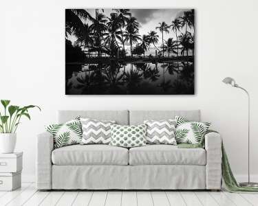 Silhouettes of palm trees on the shore. Black and white (vászonkép) - vászonkép, falikép otthonra és irodába