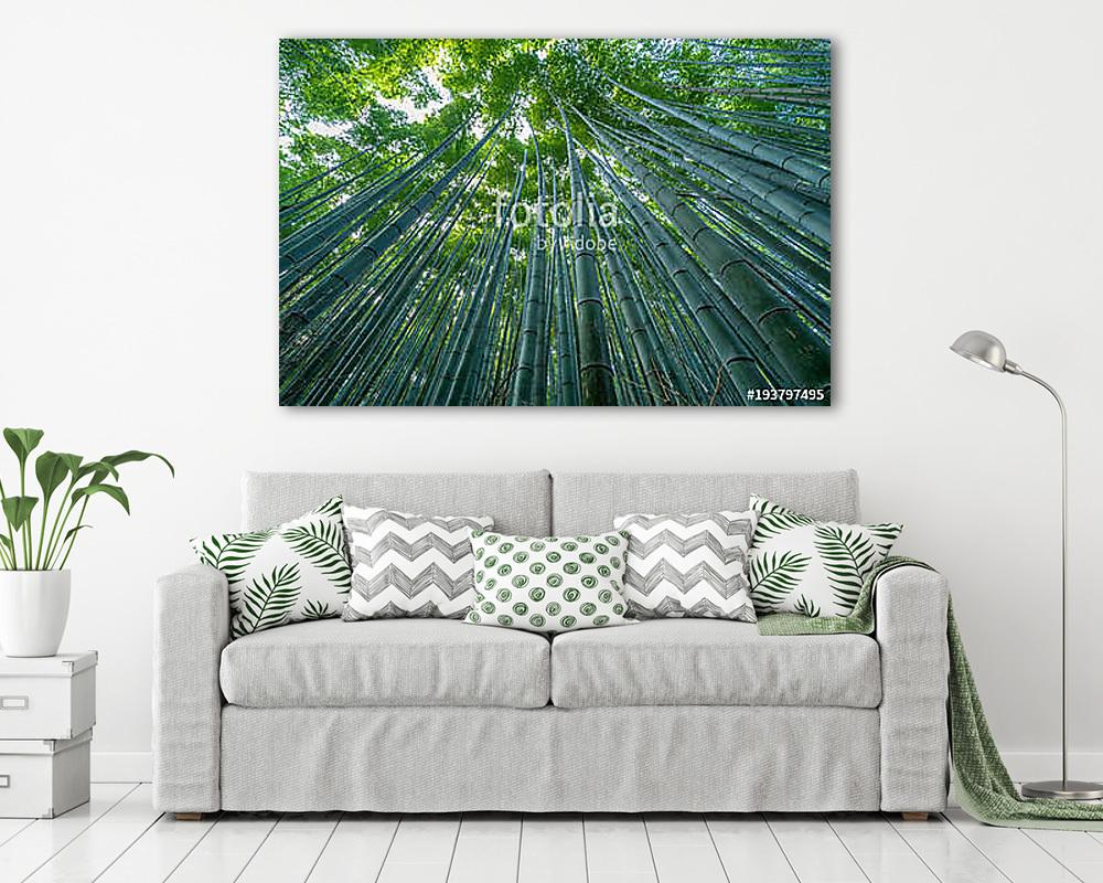 Early morning sky view through bamboo stalks at Sagano Arashiyam - vászonkép, falikép vásárlás Early morning sky view through bamboo stalks at Sagano Arashiyam (vászonkép) - vászonkép, falikép otthonra és irodába