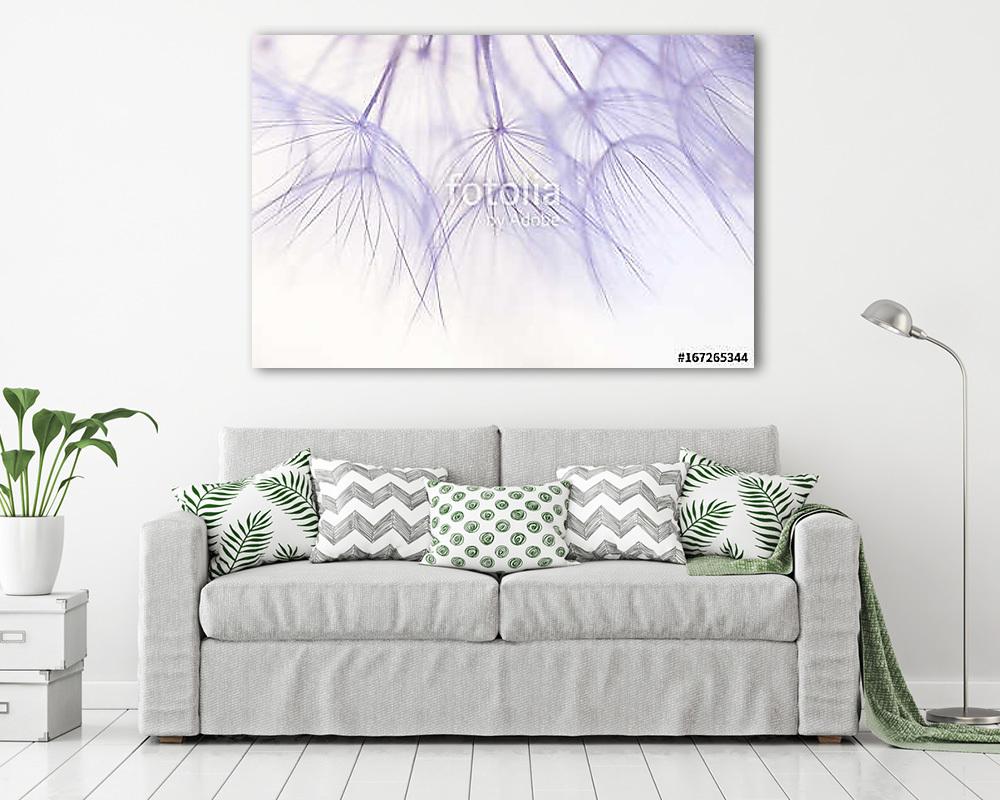 Dandelion seeds closeup in delicate shades.Selective focus - vászonkép, falikép vásárlás Dandelion seeds closeup in delicate shades.Selective focus (vászonkép) - vászonkép, falikép otthonra és irodába