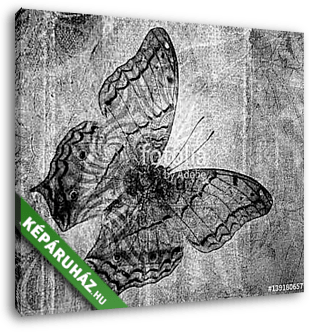 grunge butterfly - vászonkép 3D látványterv
