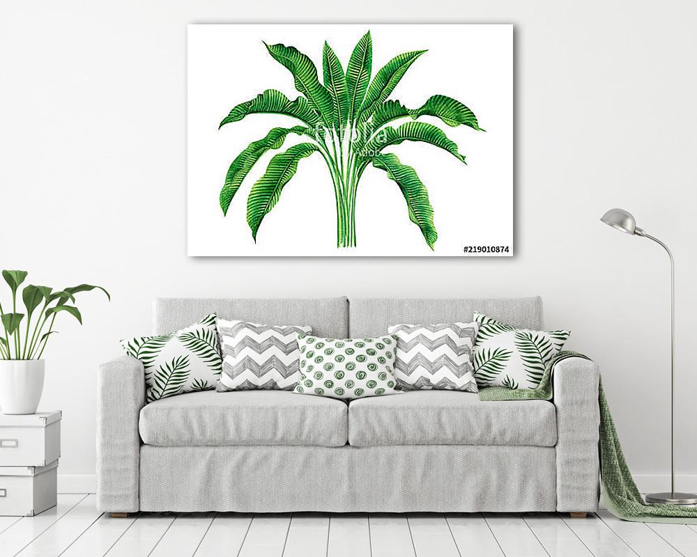 Watercolor painting green leaves isolated on white background.Wa (vászonkép) - vászonkép, falikép otthonra és irodába