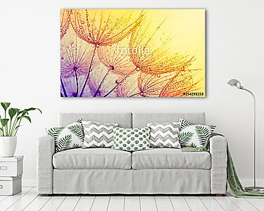  dandelion flower background (vászonkép) - vászonkép, falikép otthonra és irodába