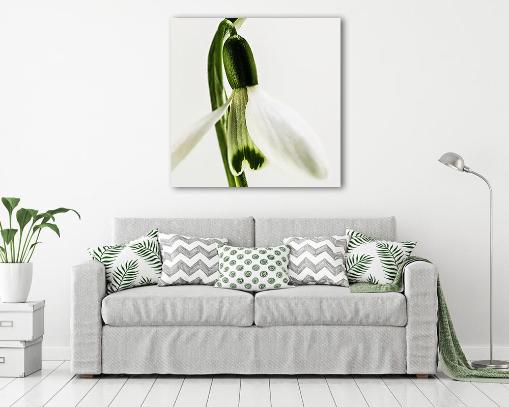 Hóvirág 1. (blur version) - vászonkép, falikép vásárlás Hóvirág 1. (blur version) (vászonkép) - vászonkép, falikép otthonra és irodába