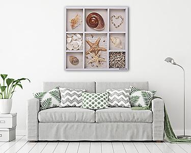 Seashells fehér dobozban (vászonkép) - vászonkép, falikép otthonra és irodába