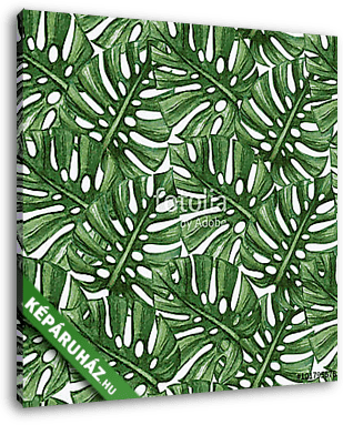 Sűrű monstera levelek tapétaminta - vászonkép 3D látványterv