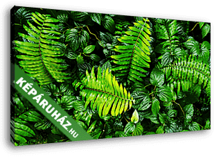 trópusi zöld levelek - vászonkép 3D látványterv