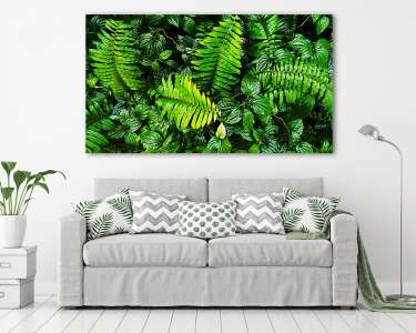 trópusi zöld levelek (vászonkép) - vászonkép, falikép otthonra és irodába
