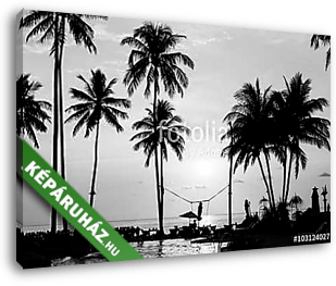 Silhouettes of palm trees on a tropical beach, black and white p - vászonkép 3D látványterv