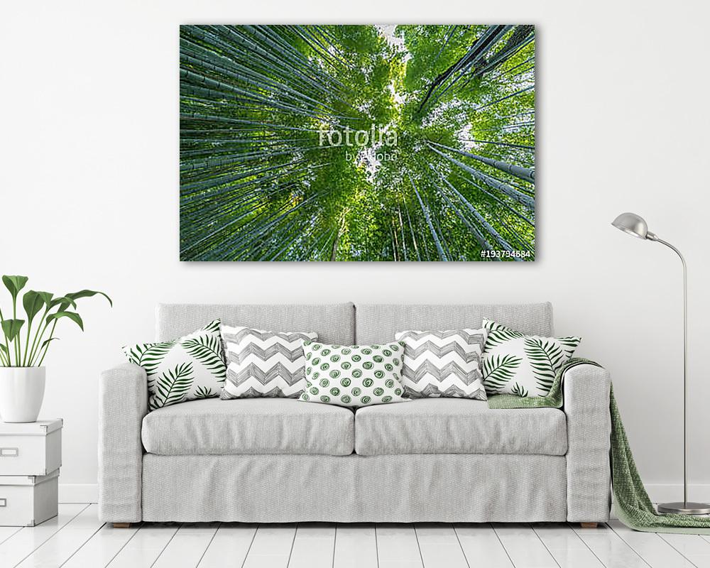 Early morning sky view through bamboo stalks at Beautiful Sagano - vászonkép, falikép vásárlás Early morning sky view through bamboo stalks at Beautiful Sagano (vászonkép) - vászonkép, falikép otthonra és irodába