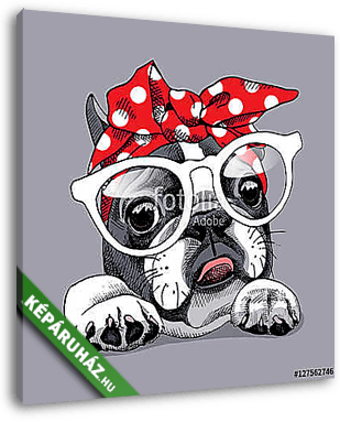 French Bulldog portrait in a headband and with glasses. Vector i - vászonkép 3D látványterv