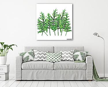 Watercolor painting fern tree,green leaves,palm leaf isolated on (vászonkép) - vászonkép, falikép otthonra és irodába