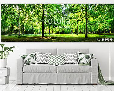 A zöld erdő táj nyári panorámaként (vászonkép) - vászonkép, falikép otthonra és irodába