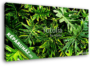 trópusi zöld levél - vászonkép 3D látványterv