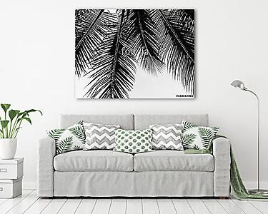 beautiful palms leaf on white background (vászonkép) - vászonkép, falikép otthonra és irodába