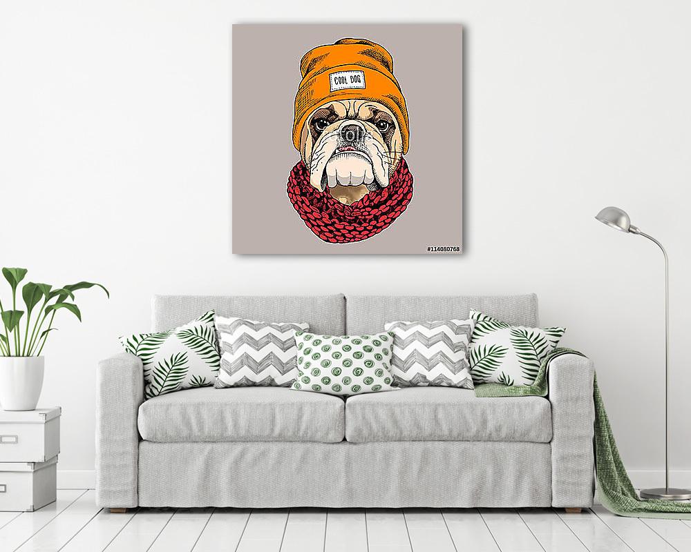 Bulldog portrait in a hipster hat and with Knitted scarf. Vector (vászonkép) - vászonkép, falikép otthonra és irodába