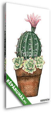 Watercolor vector composition of cacti and succulents in a pot i - vászonkép 3D látványterv