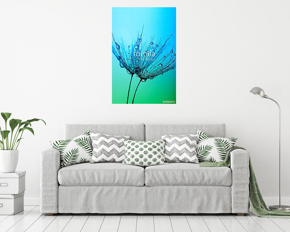 dandelion - vászonkép, falikép vásárlás dandelion (keretezett kép) - vászonkép, falikép otthonra és irodába