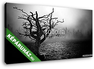 Dark Horror  Spooky  tree. - vászonkép 3D látványterv