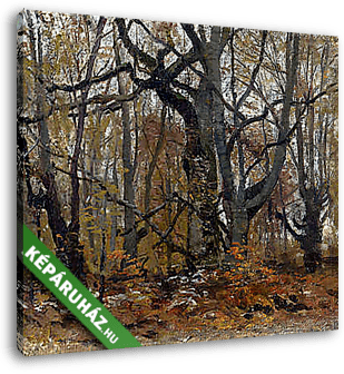 Erdő ősszel - vászonkép 3D látványterv