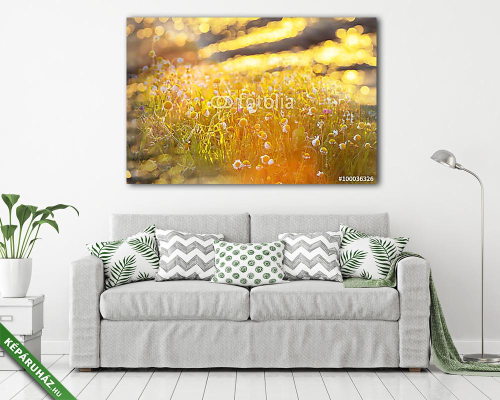 Napos rét - vászonkép, falikép vásárlás Napos rét (vászonkép) - vászonkép, falikép otthonra és irodába
