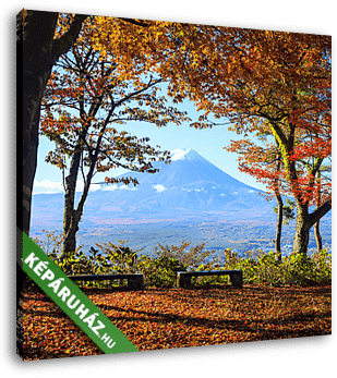 Az őszi szezon az Mt. Fuji Japánban, szép sárga színnel - vászonkép 3D látványterv