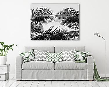 beautiful palms leaf on white background (vászonkép) - vászonkép, falikép otthonra és irodába