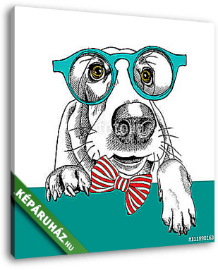 The image dog Basset Hound portrait in the glasses and with bow. - vászonkép 3D látványterv