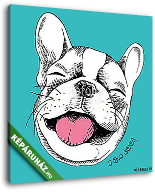 Portrait of cheerful French Bulldog laughing. Vector illustratio - vászonkép 3D látványterv