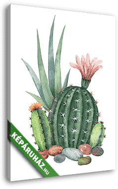 Watercolor vector collection of cacti and succulents plants isol - vászonkép 3D látványterv