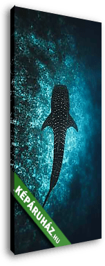 Cetcápa - vászonkép 3D látványterv