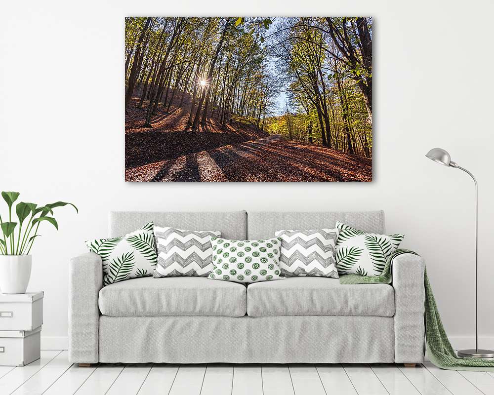 Őszi fények az erdőben (Karád) (fotótapéta) - vászonkép, falikép otthonra és irodába