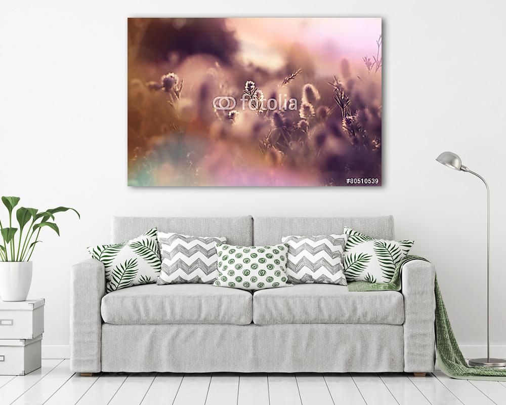 Napos rét (vászonkép) - vászonkép, falikép otthonra és irodába