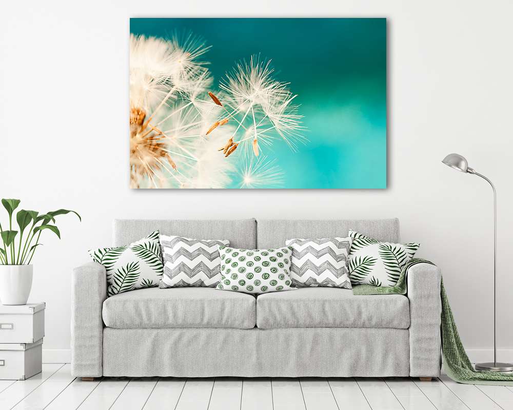 fehér pitypangvirág, tavaszi magvak kék turquois (fotótapéta) - vászonkép, falikép otthonra és irodába