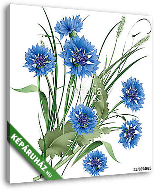 Bouquet bunch of blue cornflowers wildflowers with green leaves. - vászonkép 3D látványterv