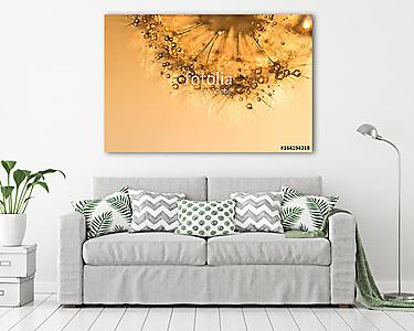 Dandelion with golden drops at sunset. Beautiful sparkling image (vászonkép) - vászonkép, falikép otthonra és irodába