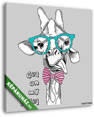 Image portrait of a giraffe in glasses. Vector illustration. - vászonkép 3D látványterv