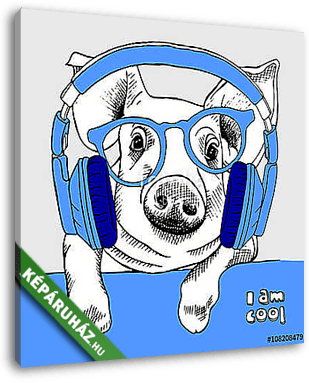 Image pig portrait with glasses and headphones. Vector illustrat - vászonkép 3D látványterv