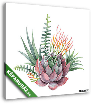 Watercolor vector bouquet of cacti and succulent plants isolated - vászonkép 3D látványterv