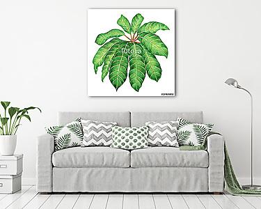 Watercolor painting green leaves,palm leaf isolated on white bac (vászonkép) - vászonkép, falikép otthonra és irodába