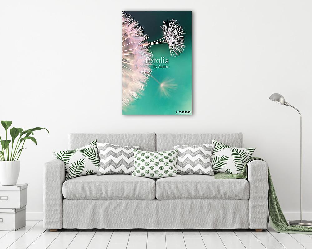 fehér pitypangvirág, tavaszi magvak kék turquois - vászonkép, falikép vásárlás fehér pitypangvirág, tavaszi magvak kék turquois (vászonkép) - vászonkép, falikép otthonra és irodába