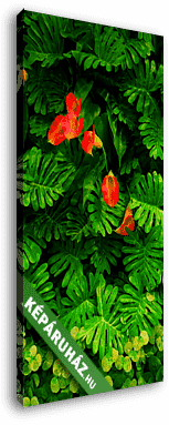Trópusi zöld levelek - vászonkép 3D látványterv