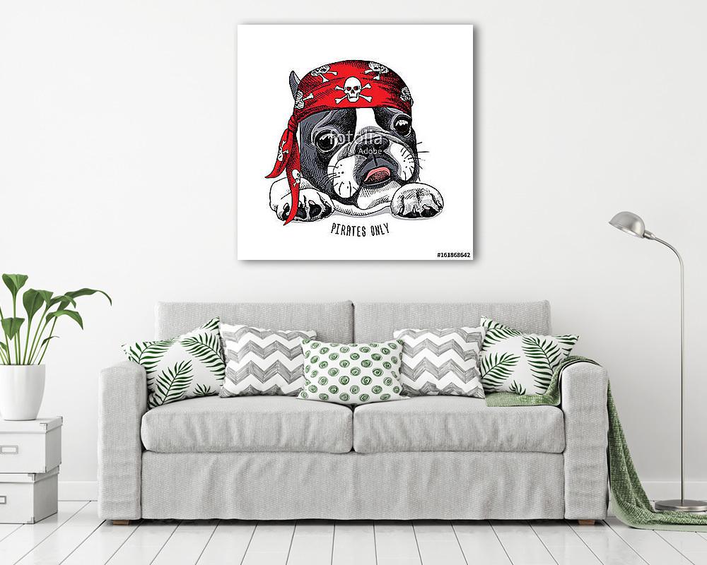 French Bulldog portrait in a pirate bandana. Vector illustration (bögre) - vászonkép, falikép otthonra és irodába