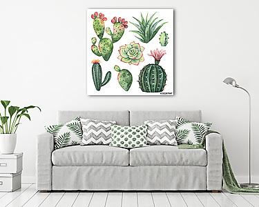 Watercolor vector set of cacti and succulent plants isolated on  (vászonkép) - vászonkép, falikép otthonra és irodába